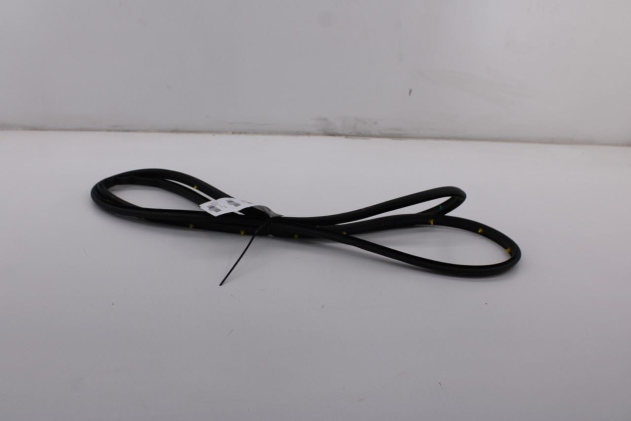 2020-23 Hyundai Santa Fe SEL Front Right Side Door Weatherstrip Seal 82140-S20004