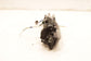 23-26 Acura Integra A-Spec Rear Right Side Door Exterior Handle 72641-3S5-A11ZB - Alshned Auto Parts