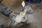 19-25 RAM 1500 Big Horn 4WD Rear Differential Carrier w/o Elec Lock 3.21 rat 68K - Alshned Auto Parts
