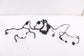 2015-19 Ford Mustang Conv V6 RWD 2Dr Front Right Door Wire Harness FR3T-14630-AF0