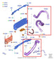 2018-21 Ford Expedition 3.5L Engine Air Intake Turbocharger Intercooler Hose Set - Alshned Auto Parts