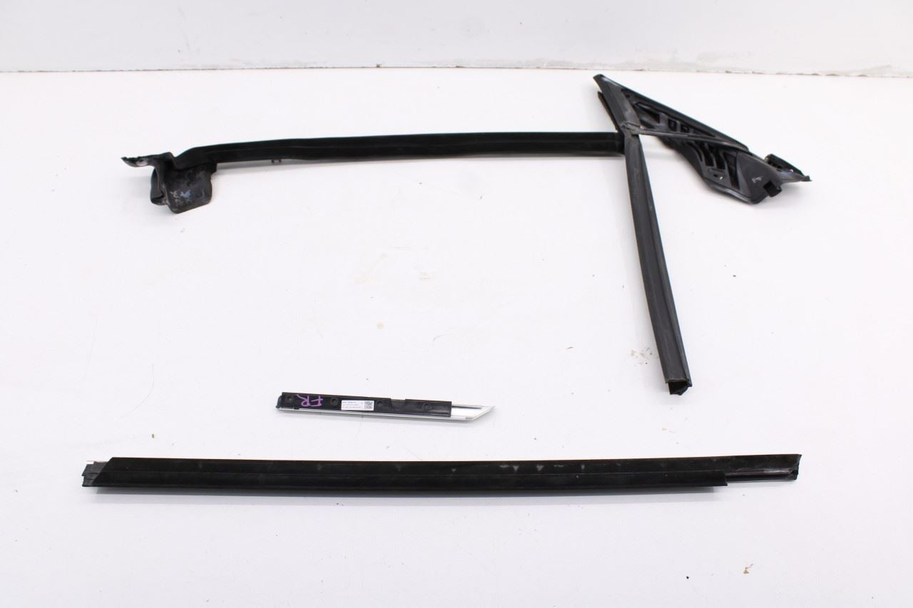 2023-2025 BMW 430i Gran Coupe xDrive Front Right Door Run Channel w/ Molding Set - Alshned Auto Parts