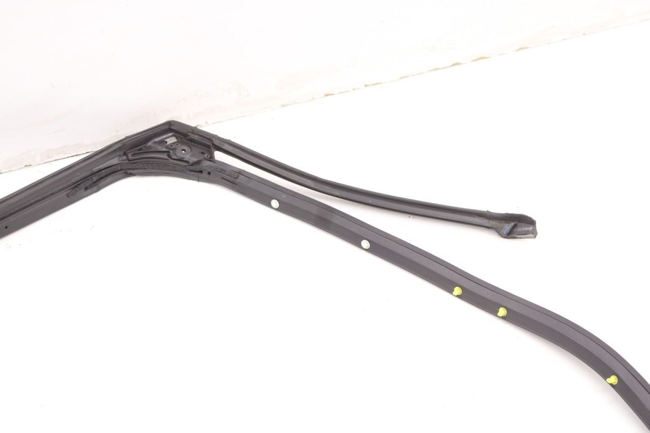 2019-2025 Infiniti QX50 LUXE Rear Left Door Weatherstrip with Belt Molding Set - Alshned Auto Parts