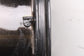15-23 Ford Mustang GT Front Alloy Wheel R19x9.0J 10 Y Spoke FR3J-1007-BB *ReaD* - Alshned Auto Parts