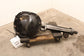 2018-21 Ford Expedition Limited 3.5L Front Axle Differential Carrier 3.31 ratio - Alshned Auto Parts