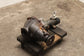 2020-23 Toyota Tacoma 3.5L 4WD Front Differential Carrier 3.91 ratio 41110-35E10 - Alshned Auto Parts