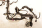 2018-21 Ford Ecosport SE 1.0L FWD Engine Wire Harness GN15-12C508-FD OEM *ReaD* - Alshned Auto Parts