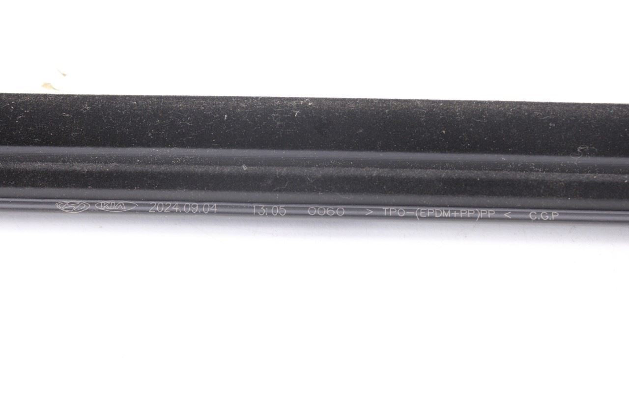 2021-2026 Hyundai Elantra SE Rear Left Door Belt Outer and Inner Weatherstrip10