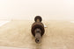 2013-2024 Ford Expedition MAX XLT 4x4 Rear Right Side CV Axle Drive Half Shaft - Alshned Auto Parts