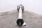 1997-1999 Chevrolet Corvette 5.7L RWD AT Rear Drive Shaft Torque Tube Propeller - Alshned Auto Parts
