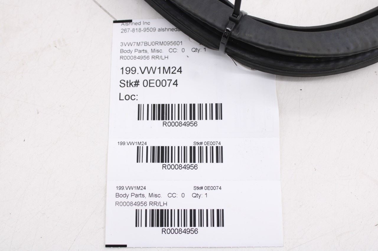 19-26 Volkswagen Jetta SE Rear Left Door Weatherstrip On Body 17A867913A9B9 OEM9