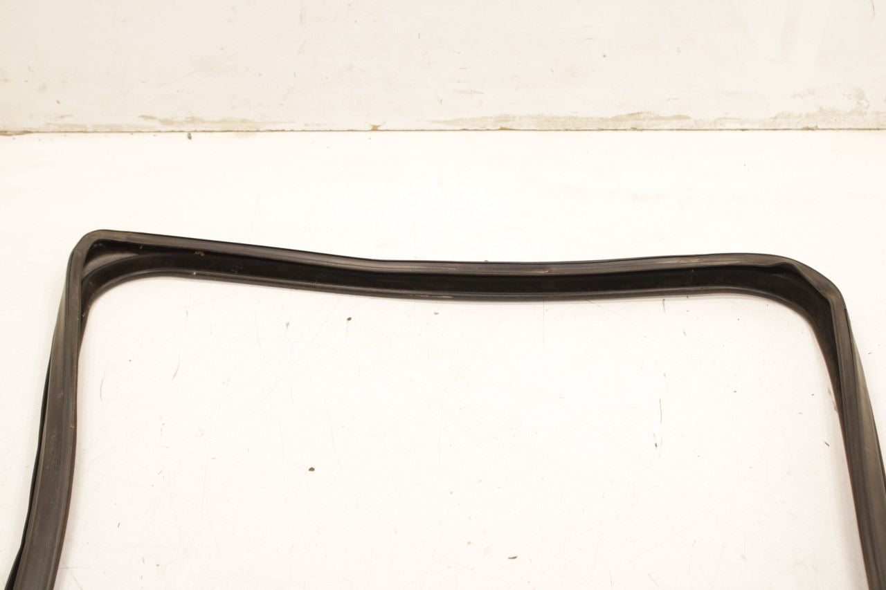 2012-18 Ram 1500 Big Horn Rear Left Door Run Channel w/ Belt Inner Weatherstrip - Alshned Auto Parts