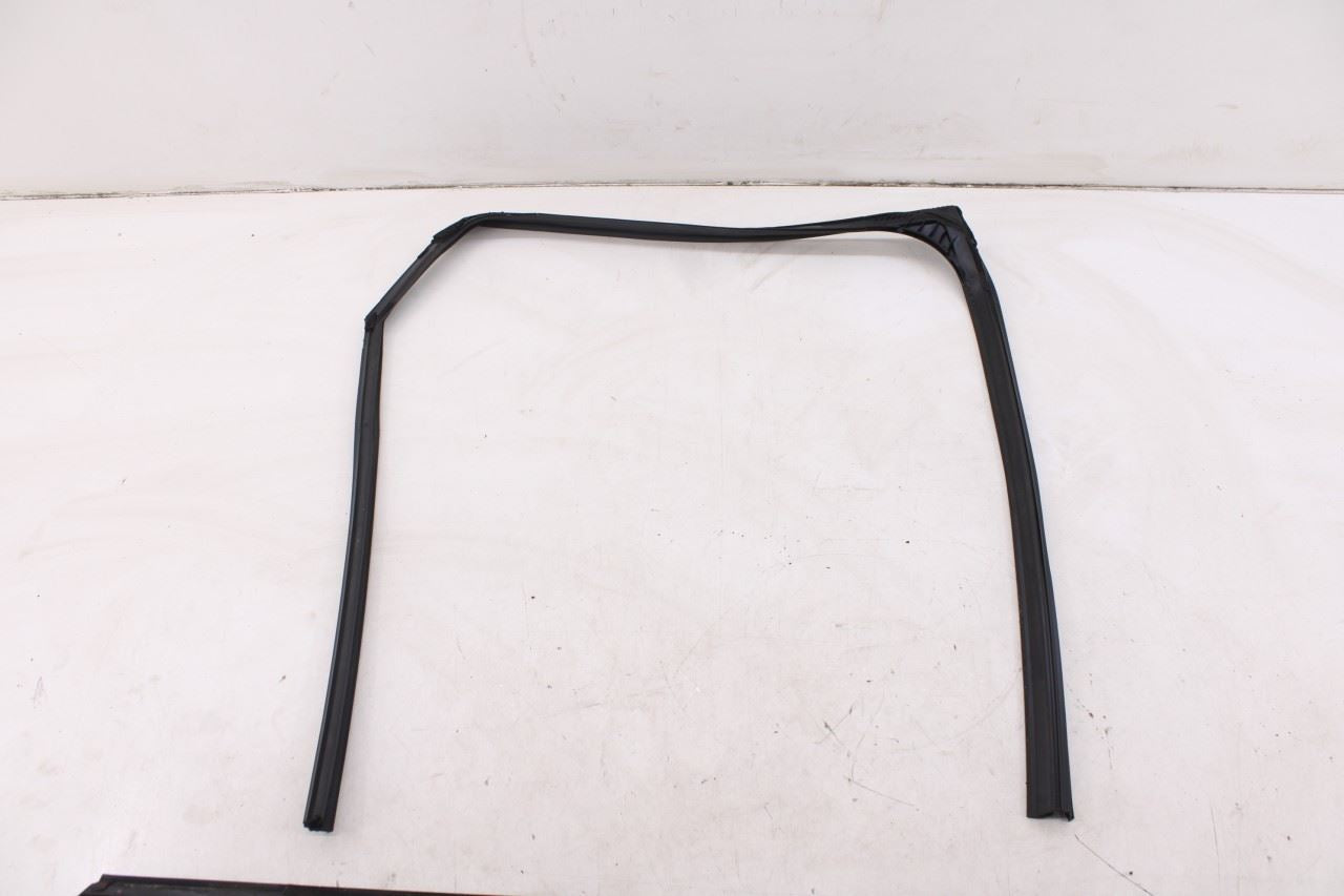 2019-2025 Infiniti QX50 Essential Rear Left Door Glass Run Channel Trim Belt Set - Alshned Auto Parts