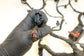 2019 Jeep Cherokee Latitude 3.2L 4x4 Engine Wiring Harness 68347365AB OEM *ReaD* - Alshned Auto Parts
