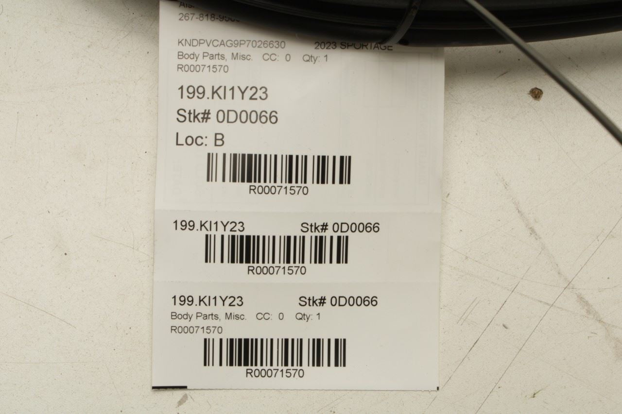 2023-25 Kia Sportage Hybrid EX Rear Right Door Weatherstrip On Body 83120-P1000 - Alshned Auto Parts