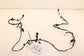 2015-2017 Infiniti QX50 Rear Bumper Wire Harness w/ Park Sensors 24093-5UB0B OEM - Alshned Auto Parts