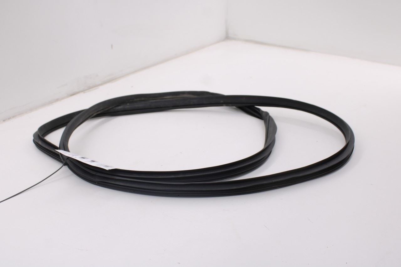 2019-2026 Ram 1500 Big Horn Front Left Side Door Weatherstrip On Body 68402032AA5