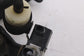 2003-2006 Mercedes-Benz E500 5.0L RWD Air Suspension Compressor Pump 211320030411