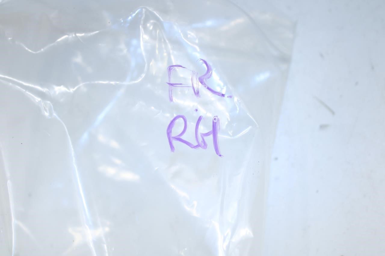 17-23 GMC Acadia SLT-1 Front Right Door Hinge Upper and Lower Pair 13583613 OEM - Alshned Auto Parts