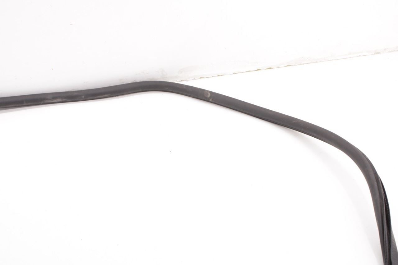 2017-2026 Chrysler Pacifica Limited Rear Left Sliding Door Weatherstrip On Body - Alshned Auto Parts