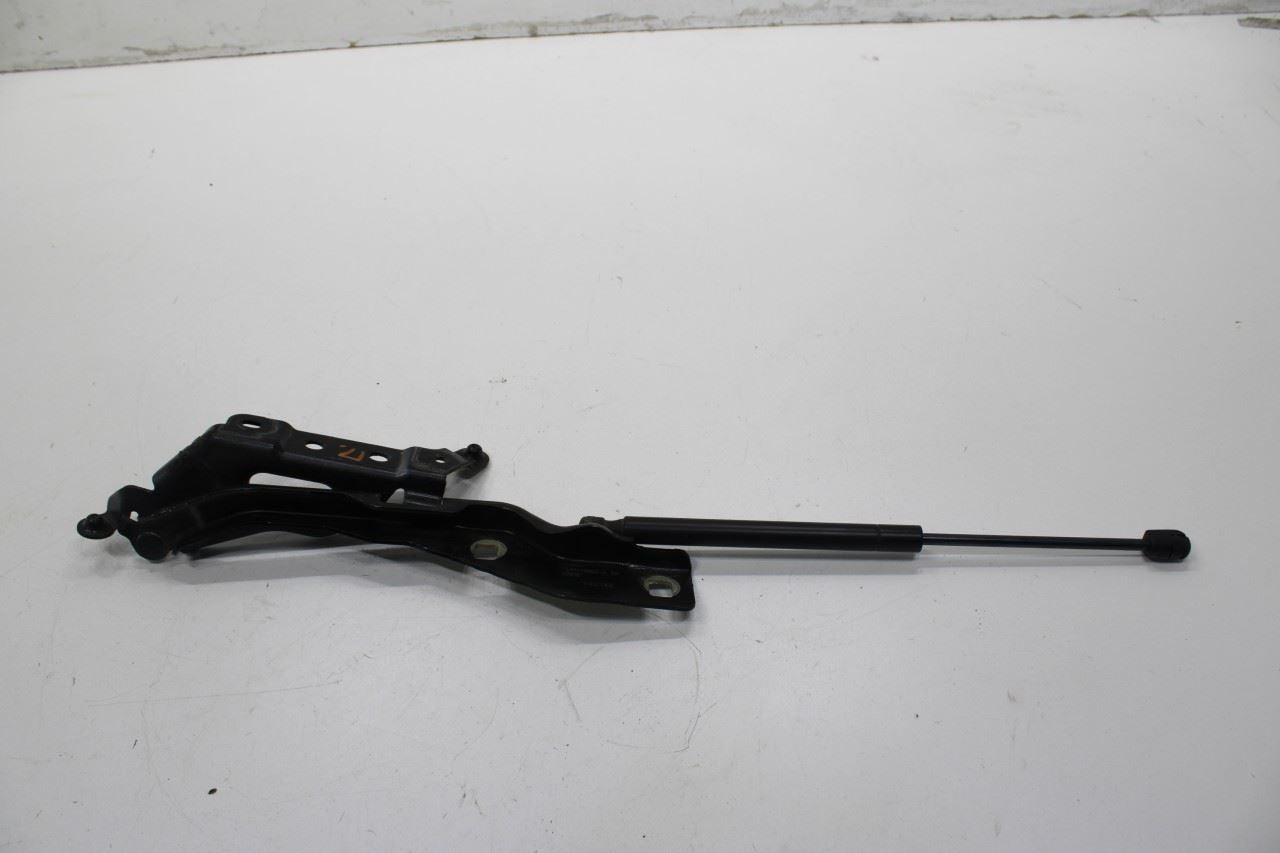 2015-20 Ford F150 Super Cab Lariat Front RH and LH Hood Hinge Set w/ Lift Struts - Alshned Auto Parts
