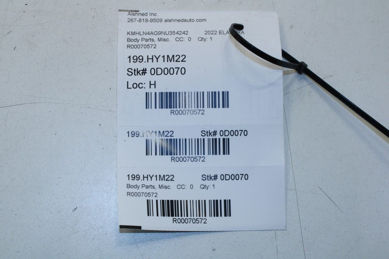 2021-2023 Hyundai Elantra SEL Rear Right Door Run Channel w/ Belt Weatherstrips - Alshned Auto Parts