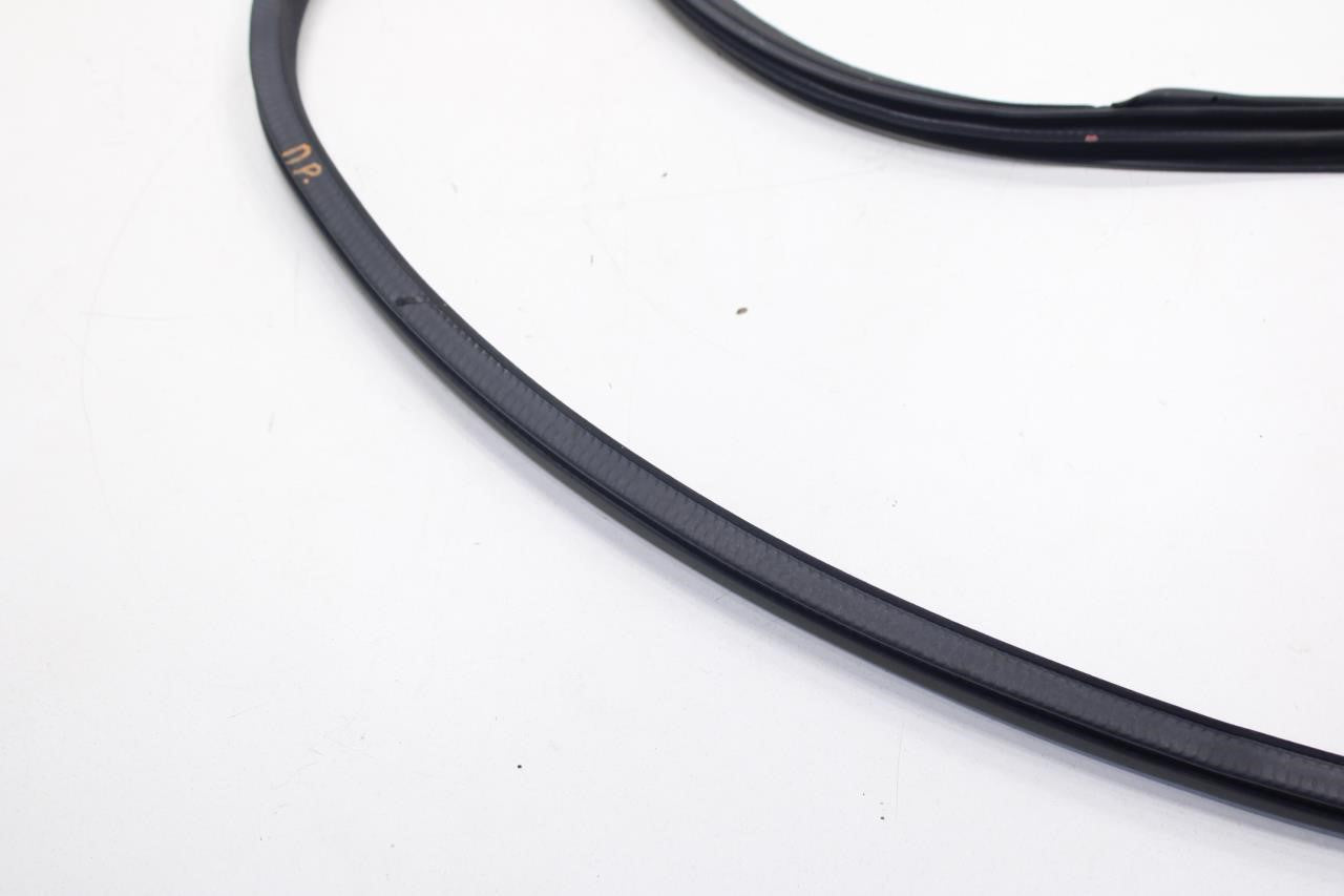 2017-22 Infiniti Q60 Luxe Front Right Door Weatherstrip On Body 76921-5CA0A OEM - Alshned Auto Parts