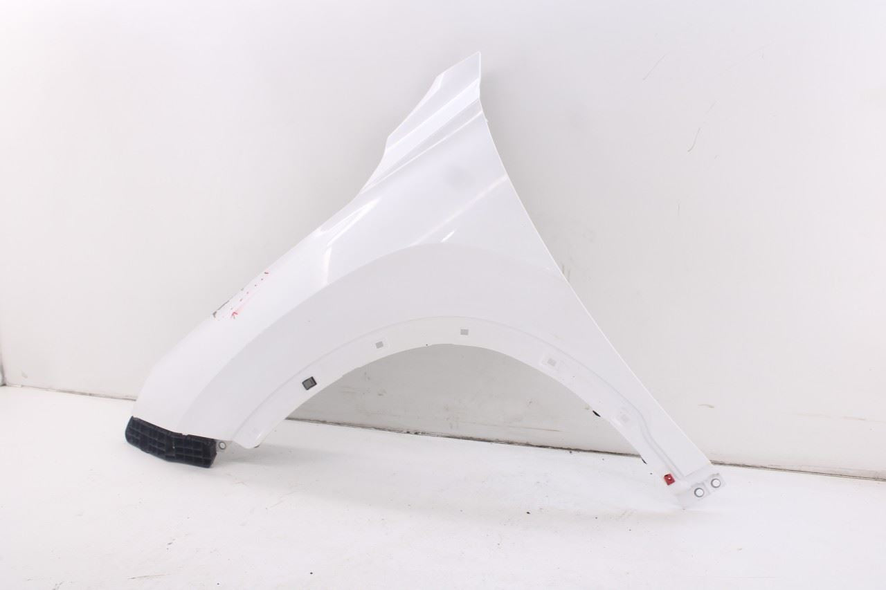 20-26 Hyundai Palisade Limited AWD Front Left Fender Panel 66311-S8000 OEM *ReaD4