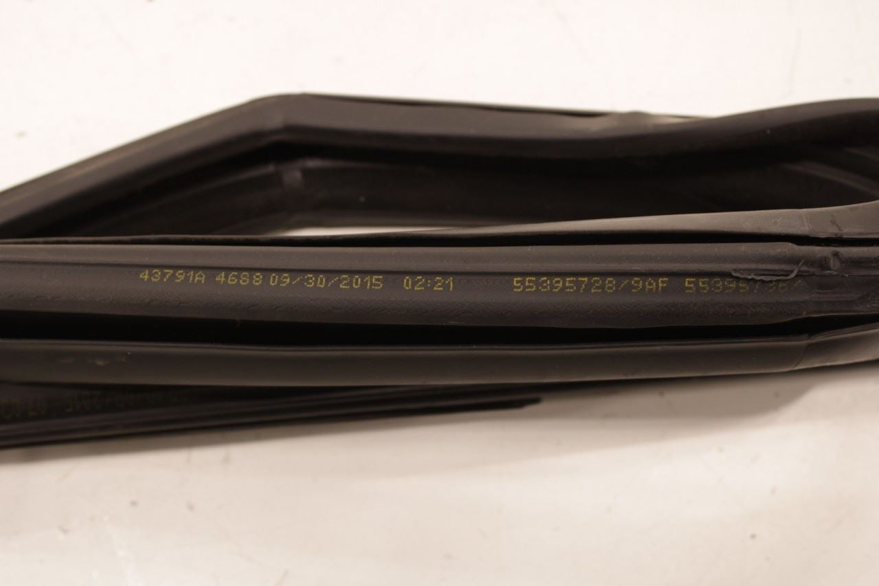 07-18 Jeep Wrangler Sport 2dr Front LH Side Door Glass Run Channel Weatherstrip - Alshned Auto Parts