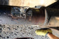 2011-12 Ford F250 SD 6.7L 4WD Front Axle Differential 3.55 Ratio DC3Z-3010-C OEM - Alshned Auto Parts