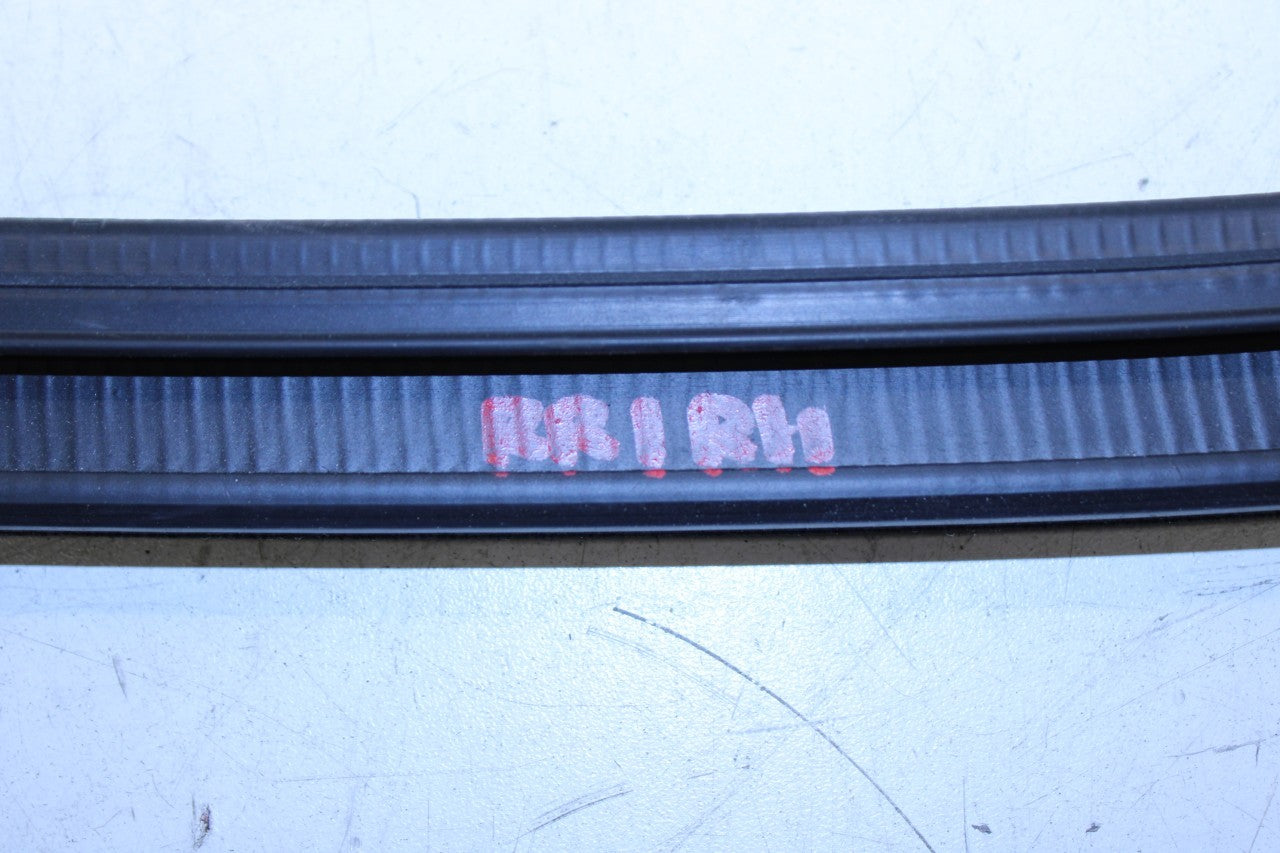 19-25 Chevrolet Blazer 2LT Rear RH Door Run Channel w/ Belt Molding Weatherstrip - Alshned Auto Parts