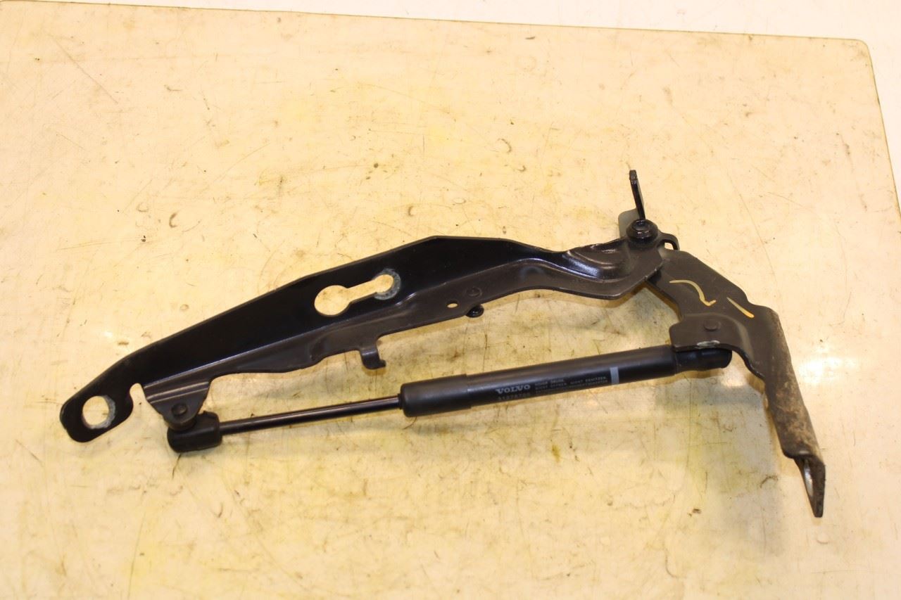 2015-2016 Volvo S60 T5 Premier Front Right and Left Side Hood Hinge Set 31385813 - Alshned Auto Parts