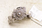 2021-2024 Kia K5 GT-Line 1.6L Engine Oil Pump Assembly 21310-2M800 OEM - Alshned Auto Parts