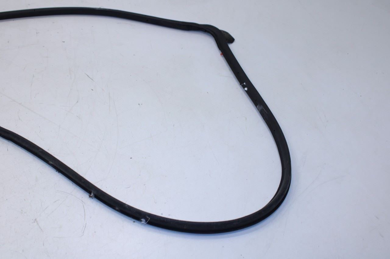 2016-20 Hyundai Elantra Rear Right Door Run Channel w/ Belt Molding Weatherstrip - Alshned Auto Parts