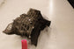 2019 GMC Acadia SLT-1 3.6L AWD Rear Differential 3.16 ratio 104K w/o Eectric - Alshned Auto Parts