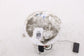 2020-2026 Ford Escape ST 1.5L In Tank Fuel Pump Assembly LX6Z-9H307-B OEM8