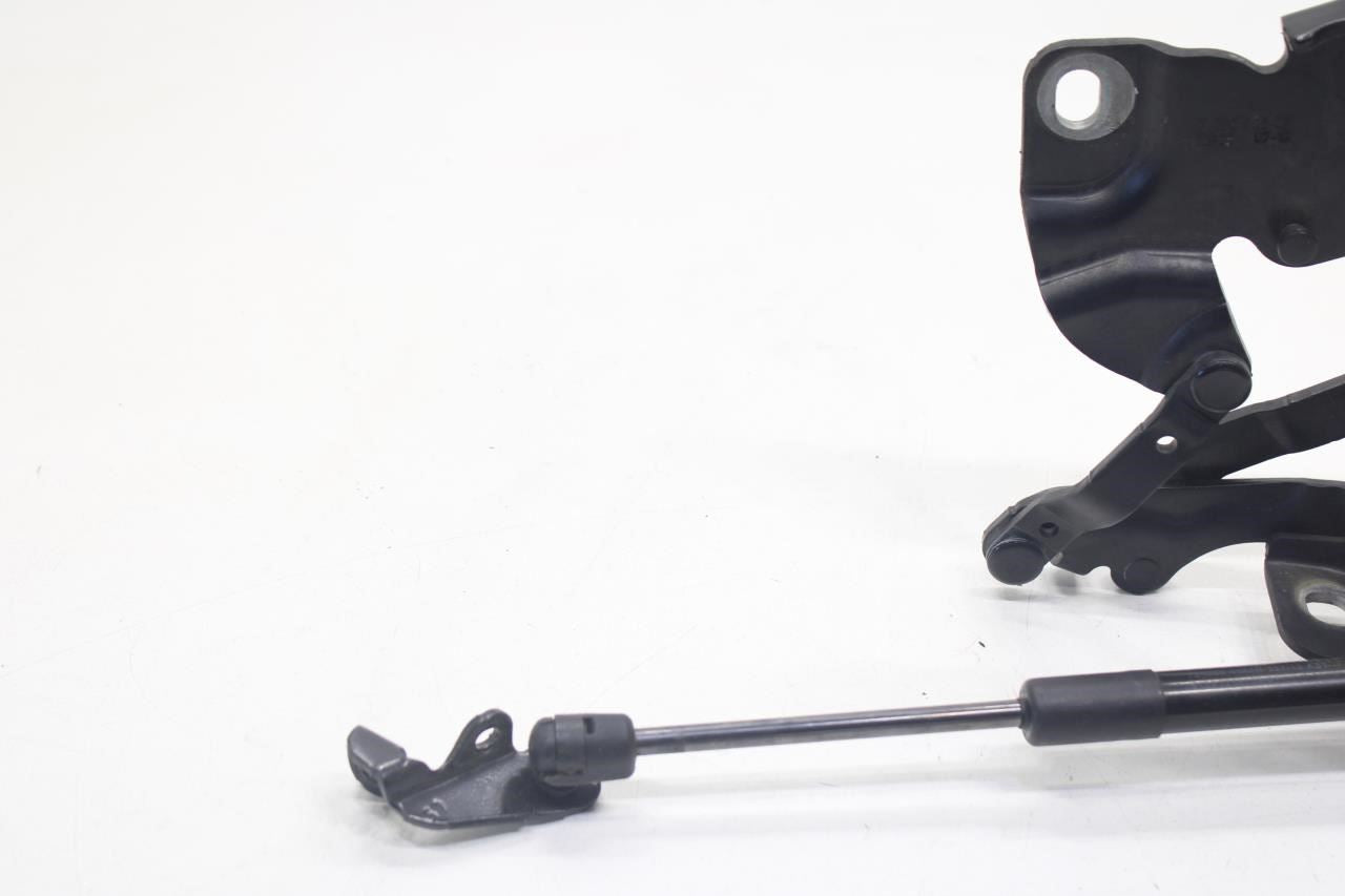 2010-2015 BMW 750i xDrive Front Left and Right Hood Bonnet Hinge 41617291701 OEM - Alshned Auto Parts