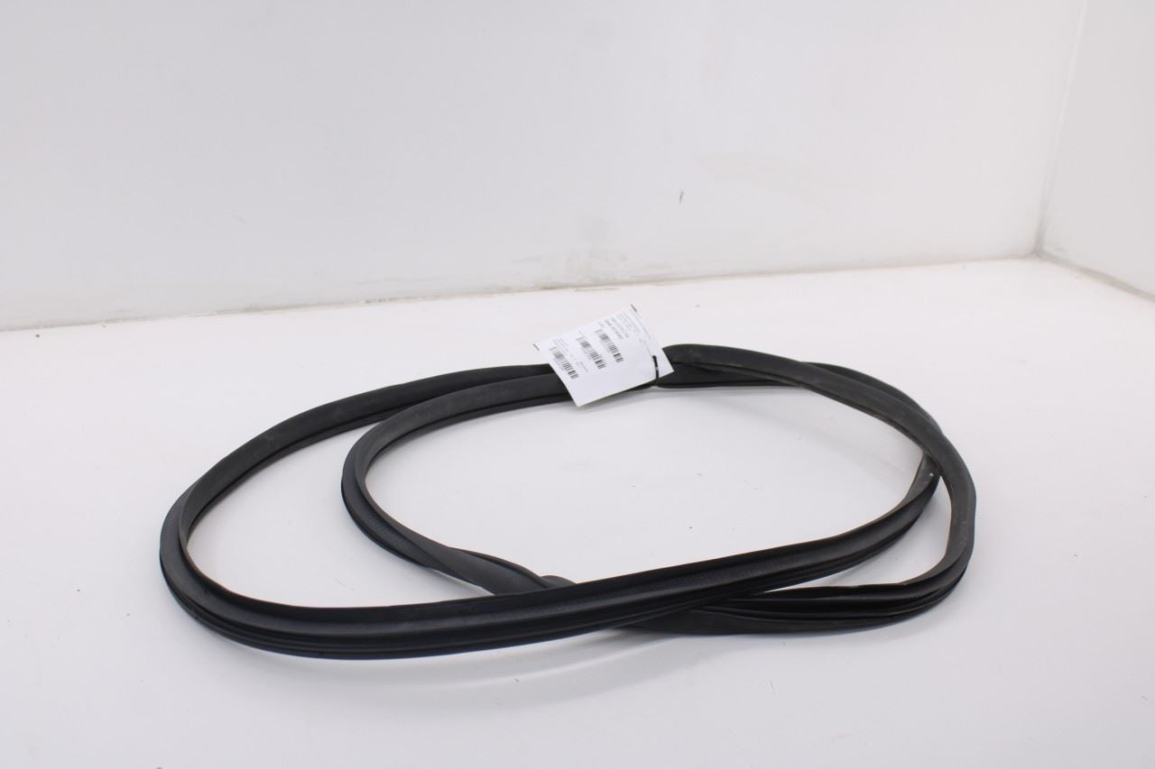 2019-2026 Ram 1500 Big Horn Front Left Side Door Weatherstrip On Body 68402032AA2