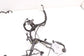 21-24 Honda Odyssey Touring 3.5L LH Side Engine Wire Harness 32120-THR-A42 *ReaD - Alshned Auto Parts