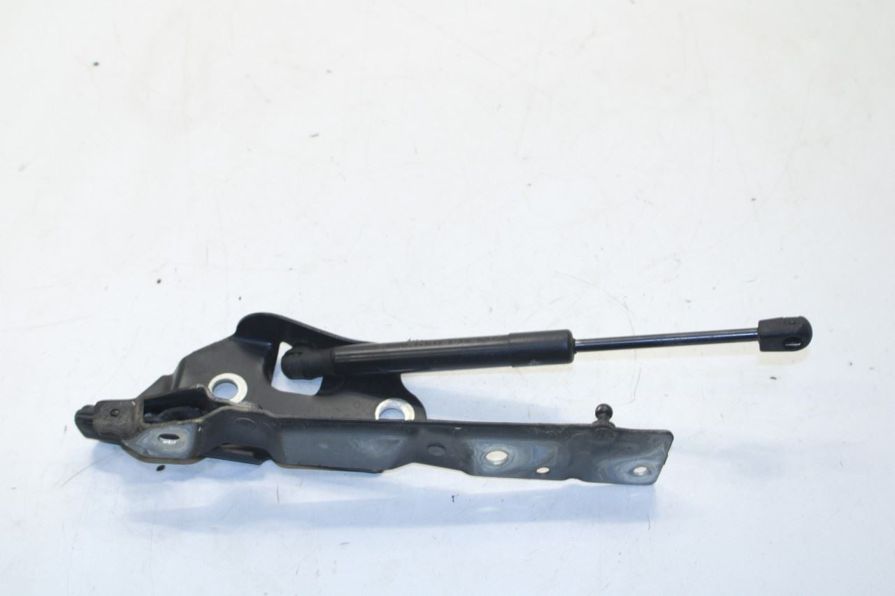 11-23 Dodge Challenger SXT RR RH and LH Trunk Deck Lid Hinge Set w/ Lift Struts - Alshned Auto Parts