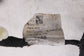 2023-2024 Ford Escape ST Front Right Side Door Wire Harness PZ1T-14630-KN OEM - Alshned Auto Parts