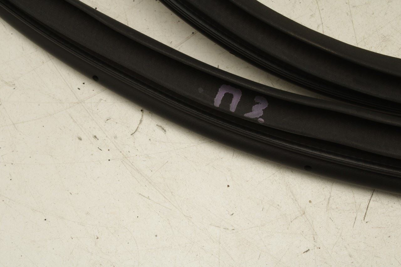 2023-25 Kia Sportage Hybrid EX Rear Right Door Weatherstrip On Body 83120-P1000 - Alshned Auto Parts