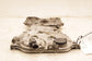 22-25 Hyundai Tucson SEL 2.5L Engine Front Timing Chain Cover 21350-2S050 *ReaD* - Alshned Auto Parts