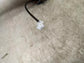 2016-2022 Toyota Prius FWD Rear Right Side ABS Wheel Speed Sensor Wire Harness5