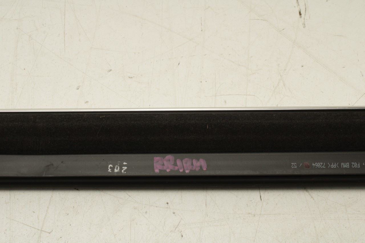 2010-15 BMW 750Li xDrive Rear Right Door Run Channel w/ Molding Set 51357179130 - Alshned Auto Parts