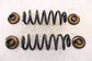 2017-2019 Buick LaCrosse Premium AWD Rear Right and Left Coil Spring 23507827 - Alshned Auto Parts