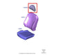 2015-2017 Ford F150 Platinum Front Left Side Seat Headrest FL3Z-25611A08-A OEM - Alshned Auto Parts
