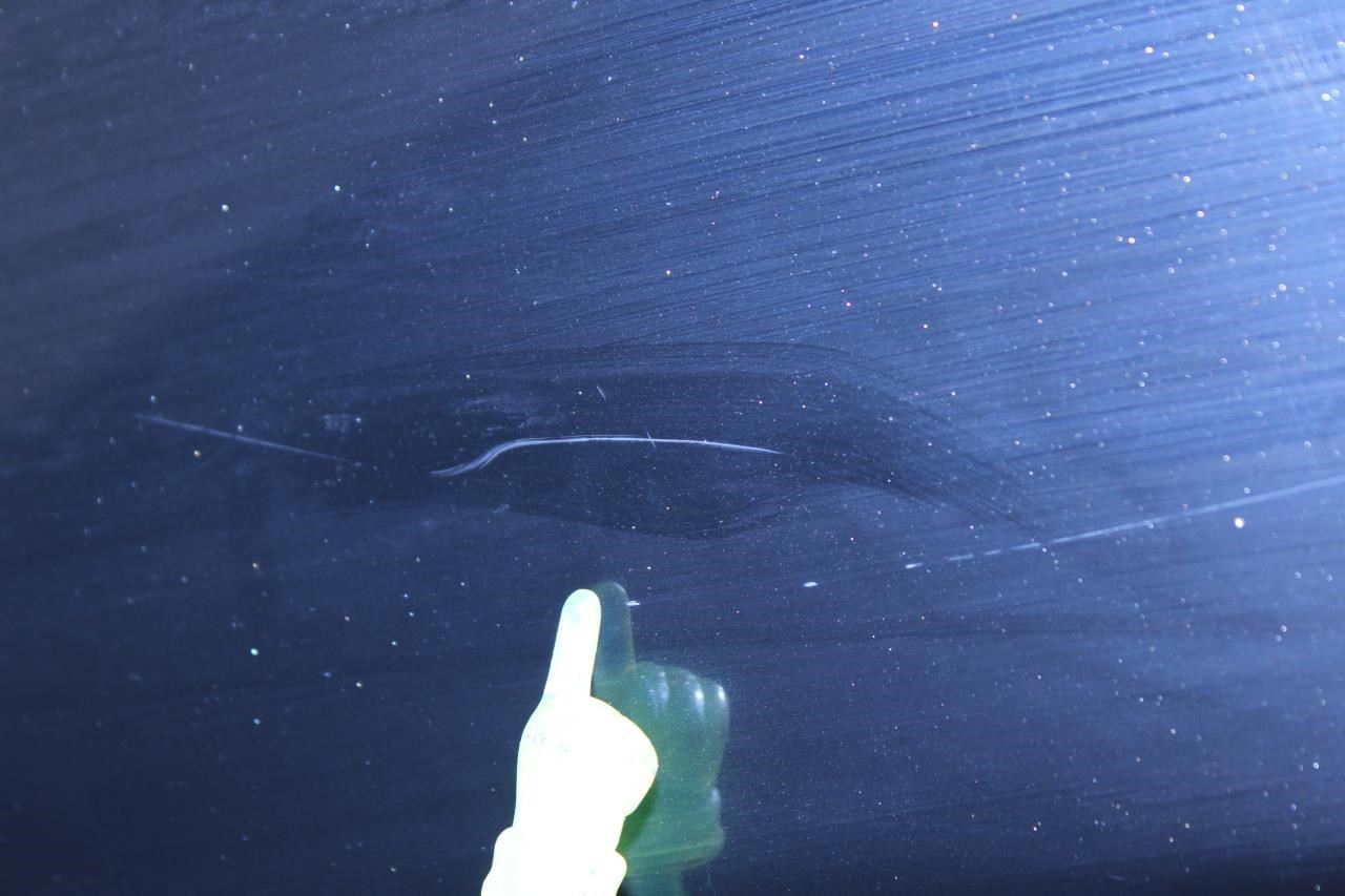 2017-2020 Jeep Compass Latitude Front Left Driver Fender Panel 68243851AA *ReaD* - Alshned Auto Parts