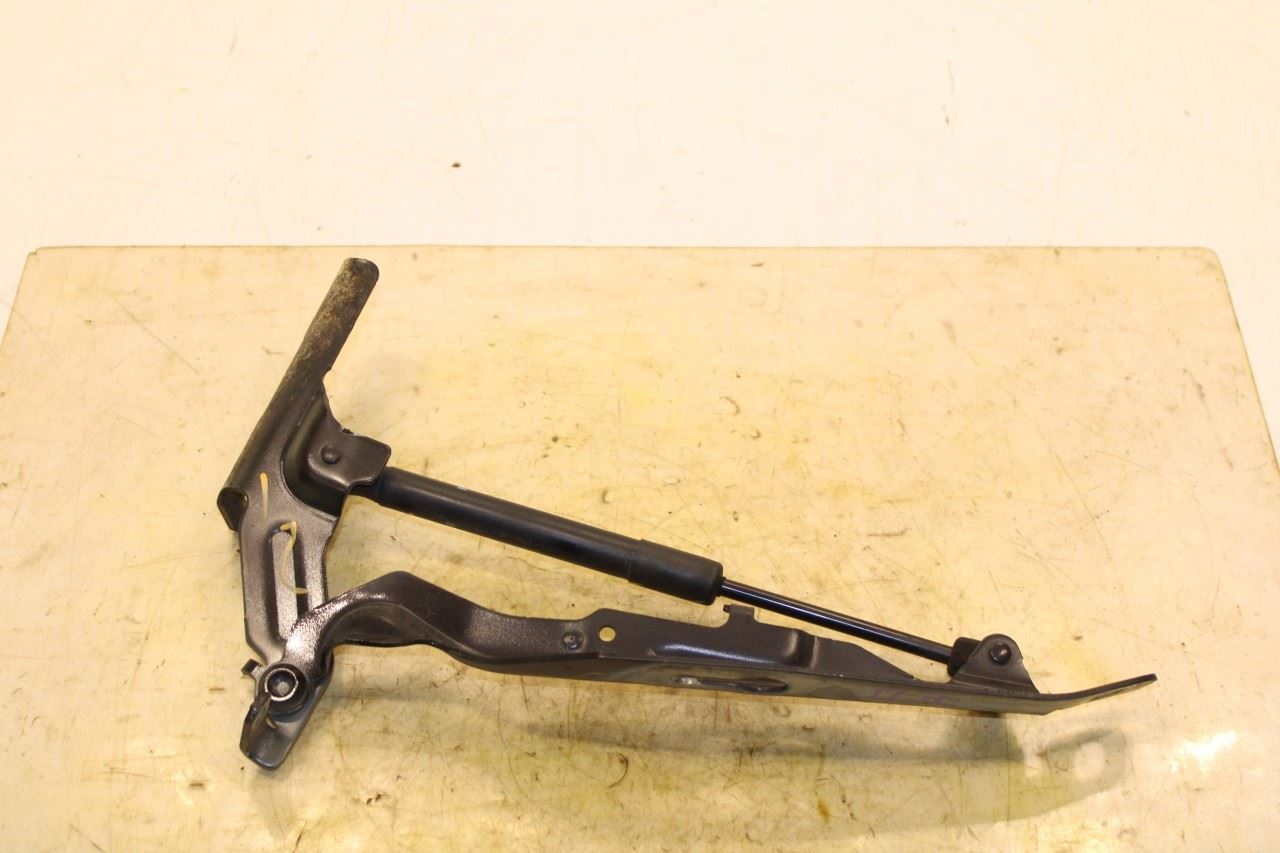 2015-2016 Volvo S60 T5 Premier Front Right and Left Side Hood Hinge Set 31385813 - Alshned Auto Parts