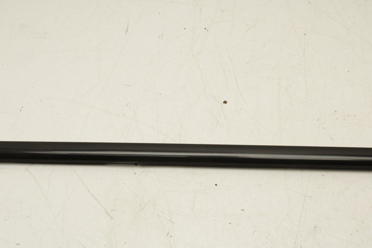 2010-2015 BMW 750Li xDrive Rear Left Door Run Channel w/ Molding Set 51357179129 - Alshned Auto Parts
